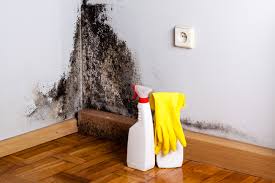 Mold Removal for HVAC Installations in Cheney, WA